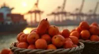 indonesia s 19 billion trade gamble
